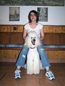Stefanie and Caruso
in the Frankfurt Pudel Klub House

July 2006