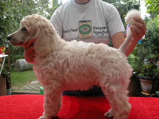  Bildname: c_08aug05_1.jpg 
 Breite: 550 Pixel 
 H�he: 413 Pixel 
 Gr�sse: 77 kB 